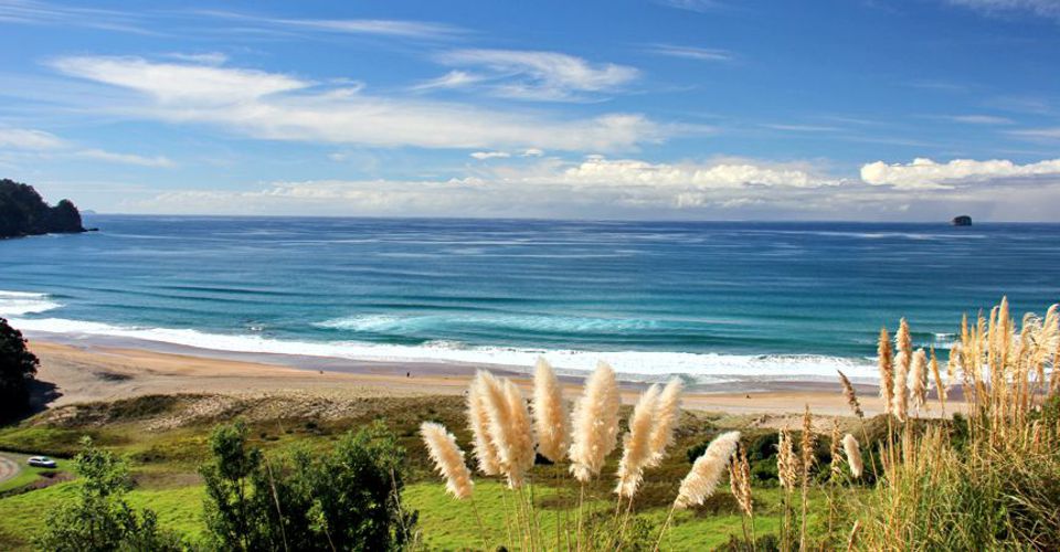 Hot Water Beach - copyright photo: Dreamland Design