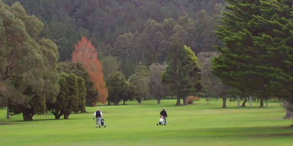 Golf Whitianga