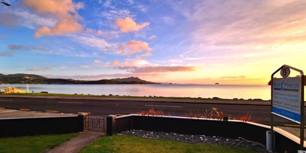 Blue Marlin Apartments Whitianga